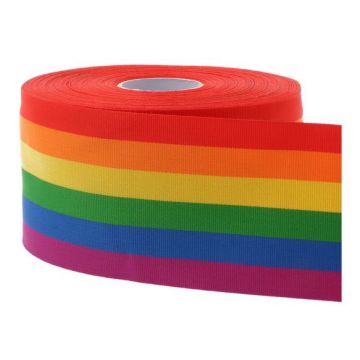 Regenboog lint 10 mm