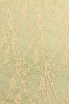 kant lace Spitze