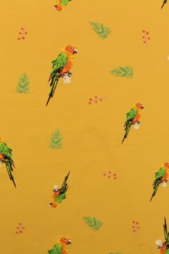 Parrots on Ocher