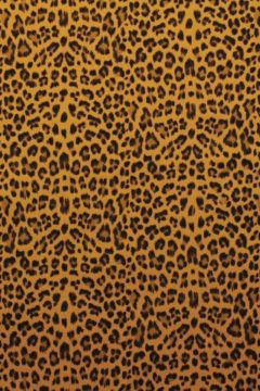 Stonewashed - Leopard Dark Ocher 