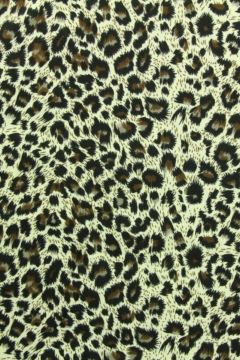 Brown Leopard