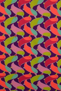 Lycra Neon Birds