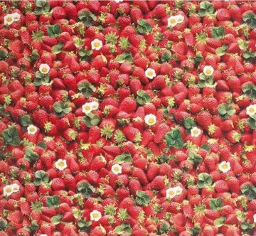 tafelzeil met aardbeien