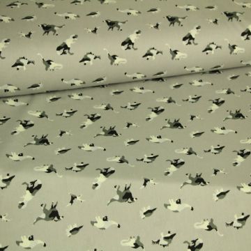 Baumwolle -Camouflage Dino on Light Grey