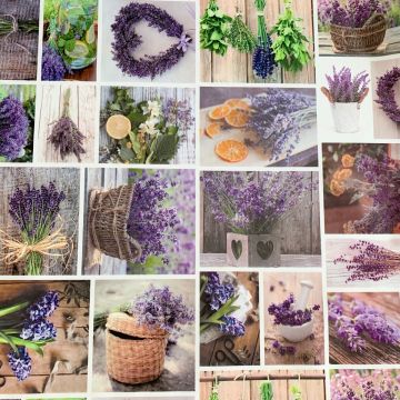 Wachstuch - Lots of Lavender