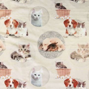Wachstuch - Cats and Dogs