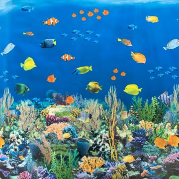 Wachstuch - Sieb's Sealife