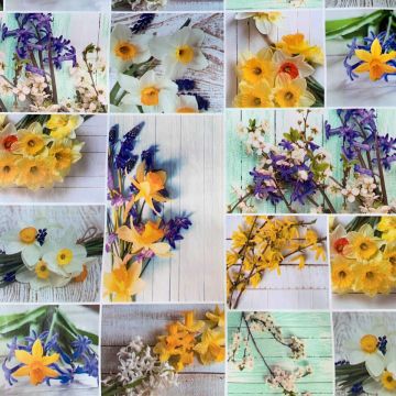 Wachstuch - Spring Blooming Flowers